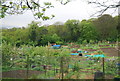 Allotments, Biggin Hill