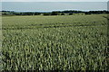 View towards Ragley Hall