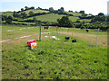 Electric fences forming paddocks