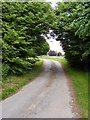 TM3597 : Near Lodge Farm, Stubbs Green by Glen Denny