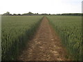 Footpath towards Stoneleigh House