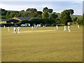 Coming to the crease, Bishopstone