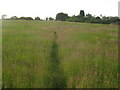 Footpath towards Petham