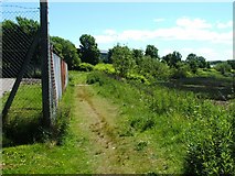 NS3976 : Footpath beside the River Leven by Lairich Rig