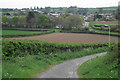 Williton on a May evening