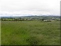 Grange Townland