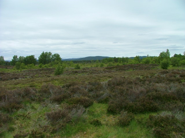 Tulloch Moor