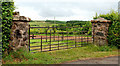 Gate, Knockagh (2)