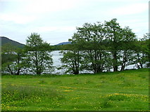 NH8609 : Field overlooking Loch Alvie by Dave Fergusson