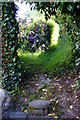 Footpath at Newchapel, Surrey