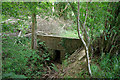 Bridge, Edolphs Copse