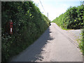 Long lane up to Whistley Hill Cross