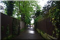 Capital Ring leaves Tooting Bec Common