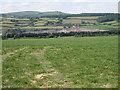 Grassland west of Creek Farm