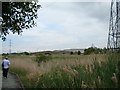 Industrial buildings on Juliette Way, viewed from Rainham Marshes Nature Reserve