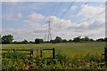 Pylon and high voltage cables