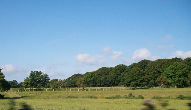 Farmland and woodland at Bodegroes