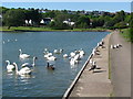 Boating Lake