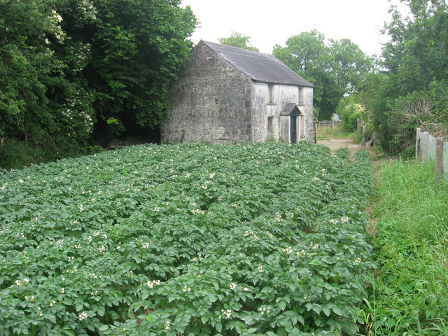Old house at Meadstown, Co. Meath