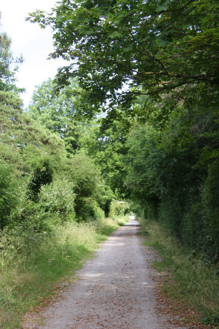 Icknield Way near Newmarket © Bob Jones cc-by-sa/2.0 :: Geograph ...