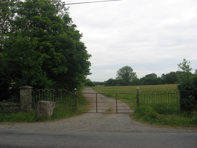 Gate at Tullaghanstown, Co. Meath