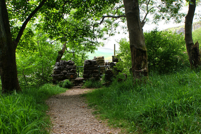 A footbridge provides the exit to Rais Wood