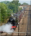 Main line steam train special through Retford