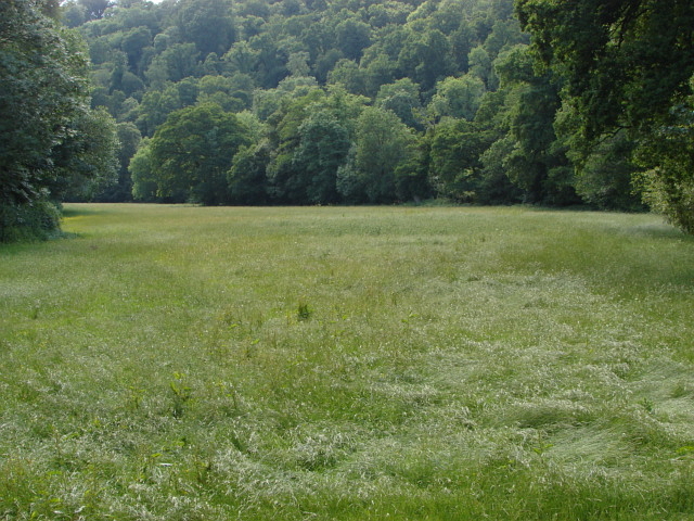 Field near Lustleigh