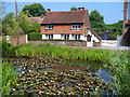 Cottage and Pond, Dunsfold