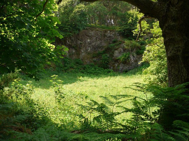 Flodden Quarry (lower face)