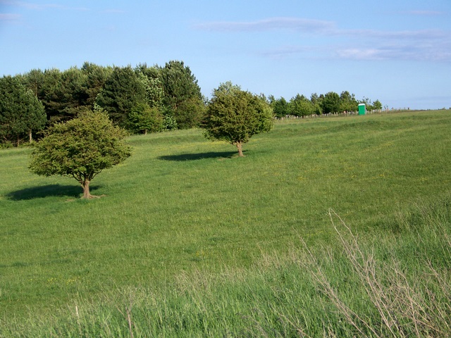 Grassland near Enford