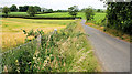 The Clay Road near Banbridge (4)