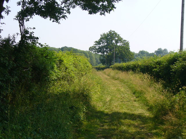 Bridleway East of Dunsfold
