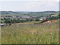 The Yeo Valley, south of Crediton