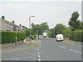 Meadowbank Avenue - Allerton Road