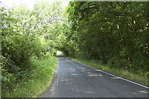 TQ0553 : Ripley Road, West Clandon (2) by MrC