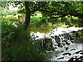 Weir on the Annick Water