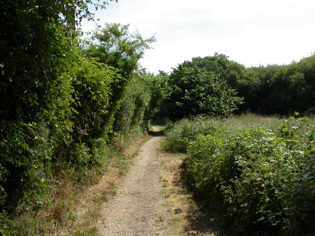 Purewell Meadows, footpath