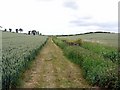 NT8937 : The Flodden Battlefield Trail by Andrew Curtis