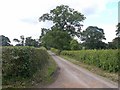 Lane near Sidnall Farm