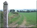 Footpath to Consallforge