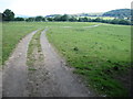 Footpath towards Rudyard Reservoir