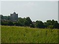 Field with houses and Castle