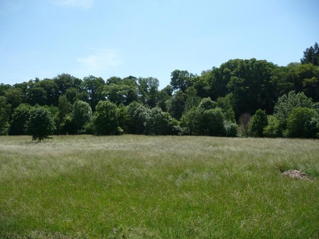Riverside meadow