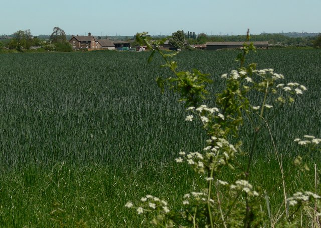 View towards Woodhouse Farm