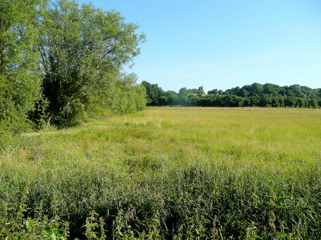 Coombe Hill Nature Reserve