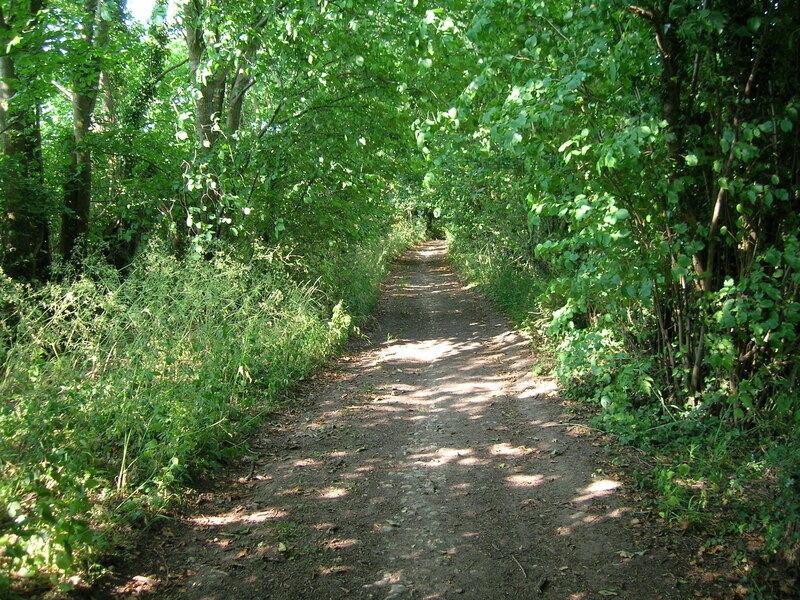 The Fosseway west of Fosse Farm © James Ayres cc-by-sa/2.0 :: Geograph ...