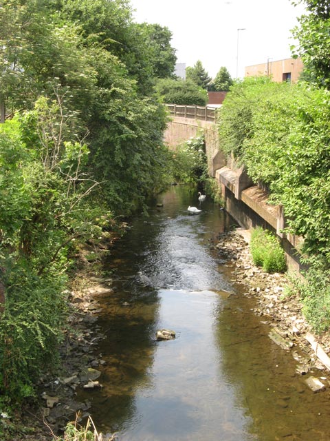 River Medlock