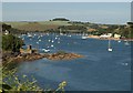 Salcombe Harbour