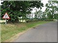 Country road at Poldean, south of Moffat.